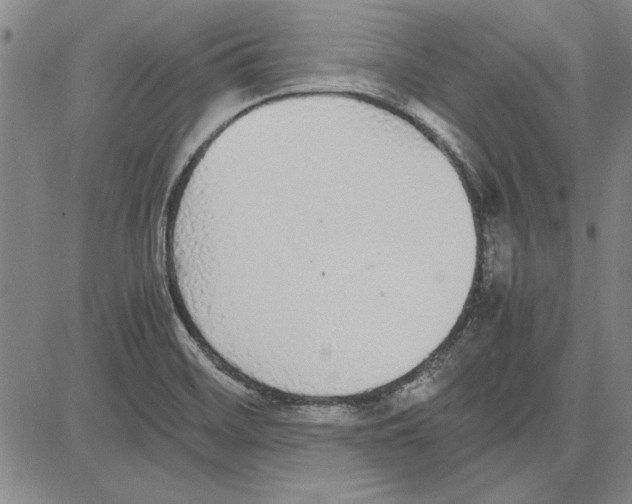 X0000081631468200702121652