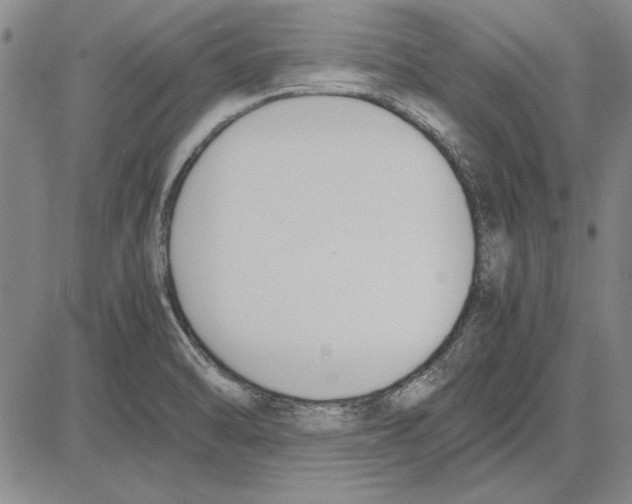 X0000081631470200702121652