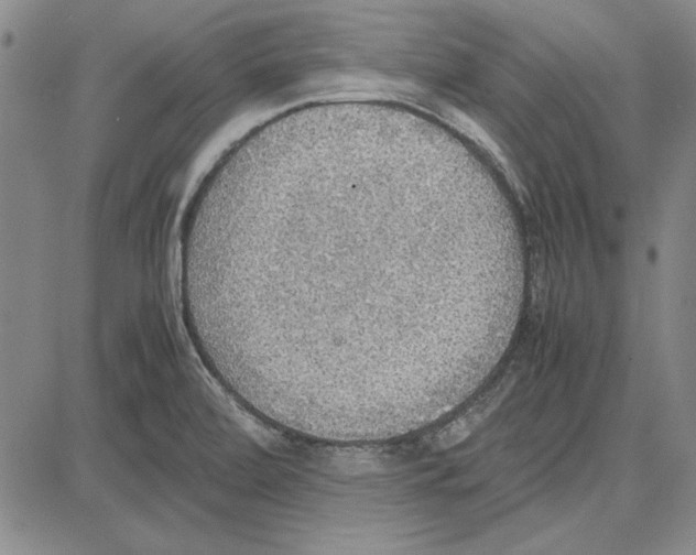 X0000081631472200702121652