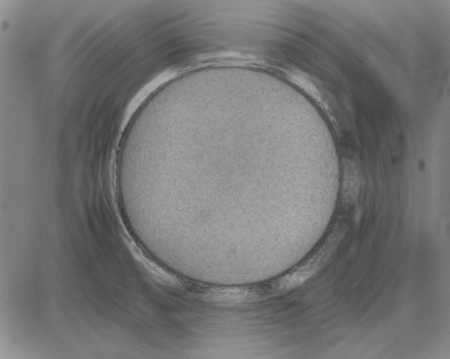 X0000081631474200702121652