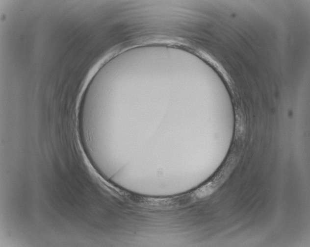 X0000081631475200702121652