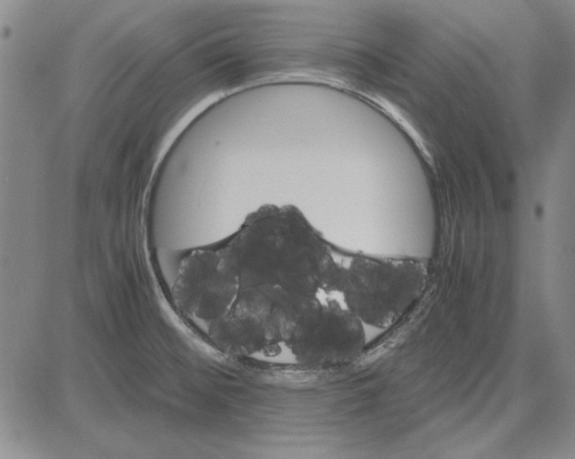 X0000081631476200702121652