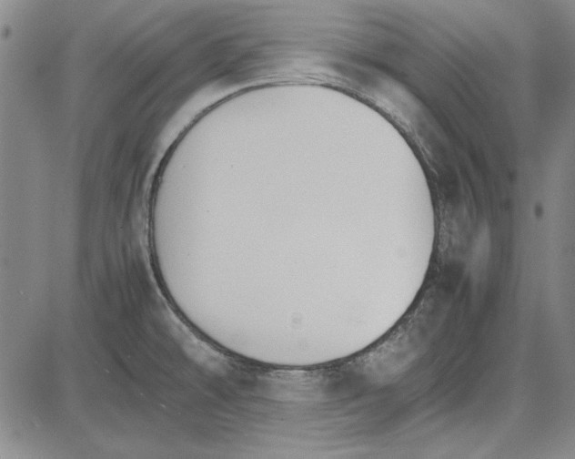 X0000081631478200702121652