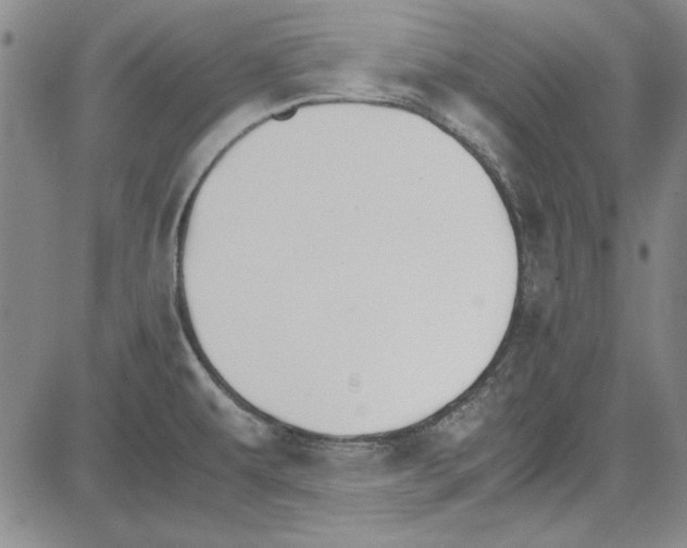 X0000081631479200702121652