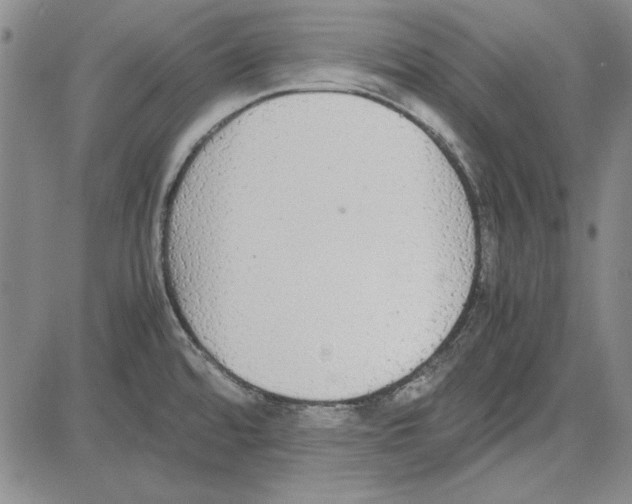 X0000081631480200702121652