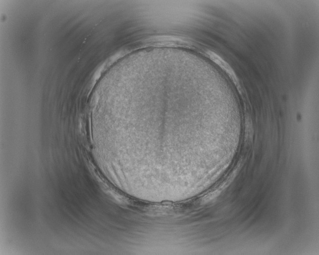 X0000081631481200702121652