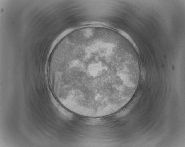 X0000081631482200702121652