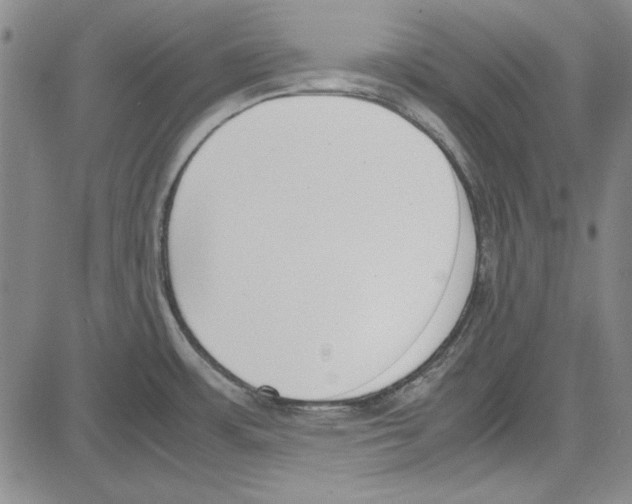 X0000081631483200702121652