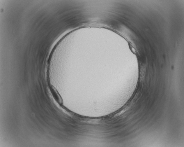 X0000081631484200702121652