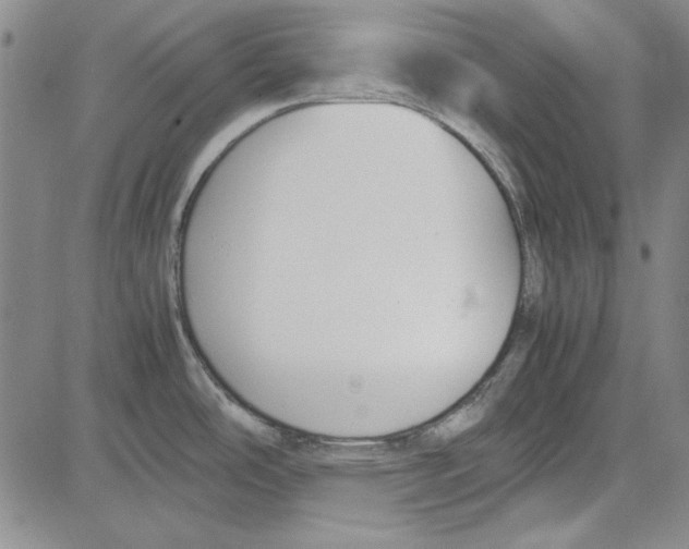 X0000081631486200702121652