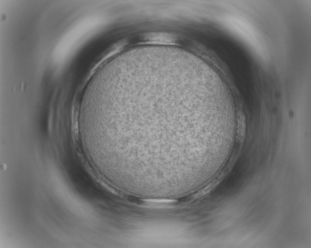 X0000081631487200702121652