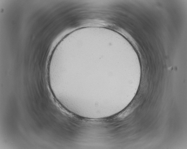 X0000081631488200702121652