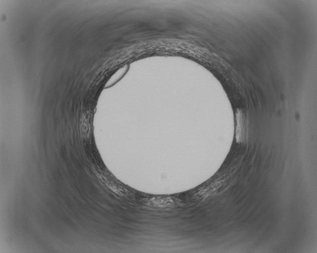 X0000081631491200702121651