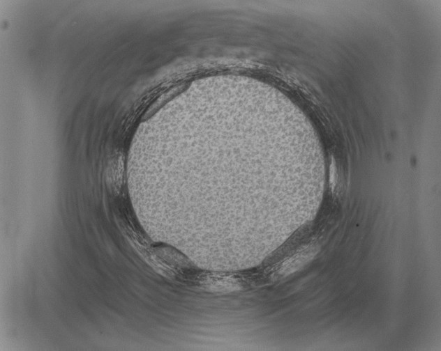 X0000081631492200702121651