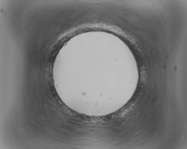 X0000081631494200702121651