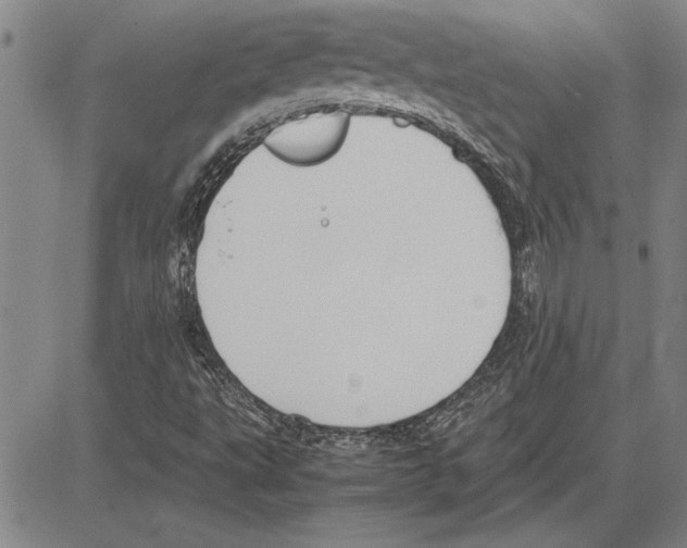 X0000081631495200702121651