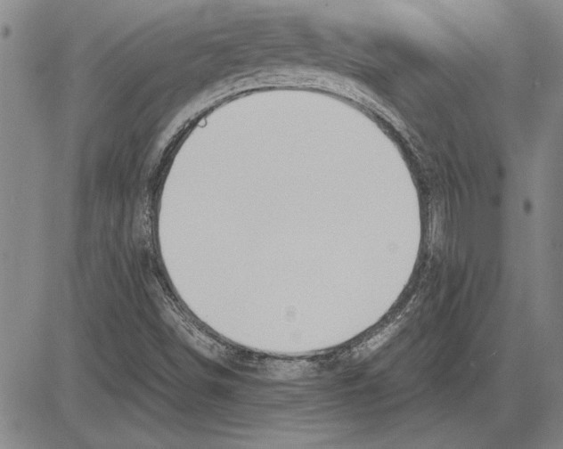 X0000081631498200702121651