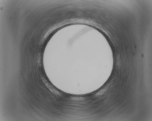 X0000081631499200702121651