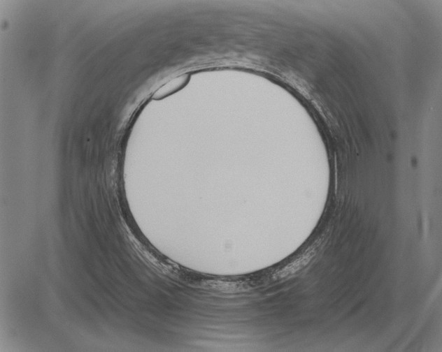 X0000081631500200702121651