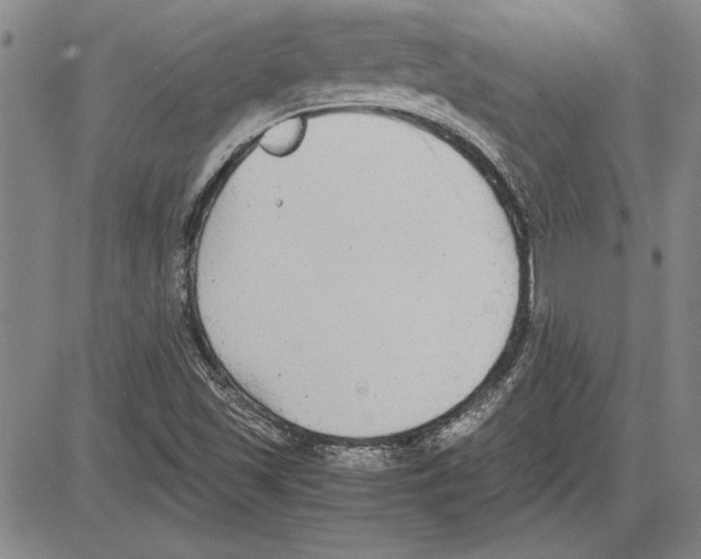 X0000081631501200702121651