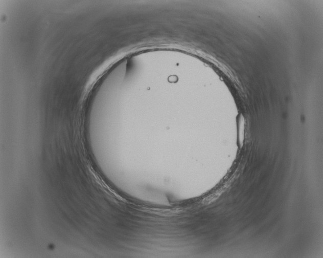 X0000081631502200702121651