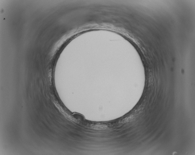 X0000081631503200702121651