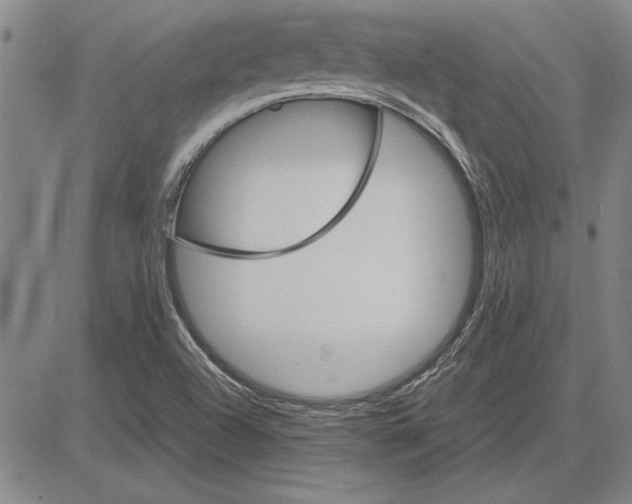 X0000081631504200702121651