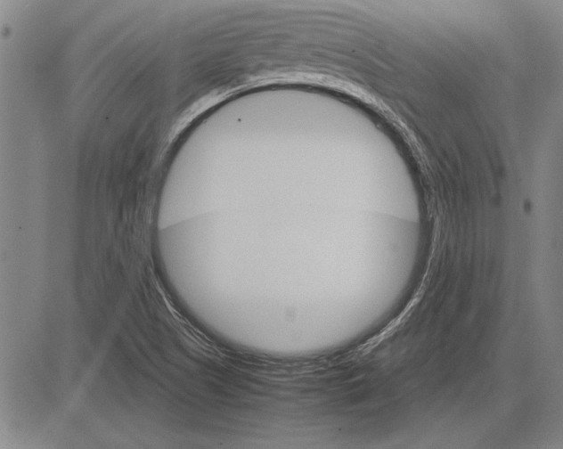 X0000081631505200702121651