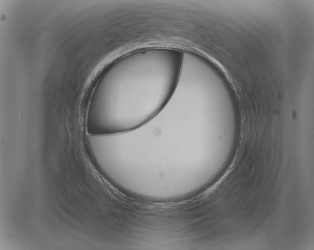 X0000081631506200702121652