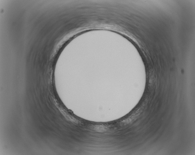 X0000081631507200702121652