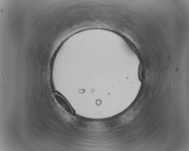 X0000081631508200702121652