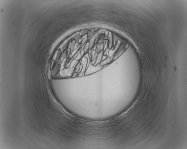 X0000081631510200702121652