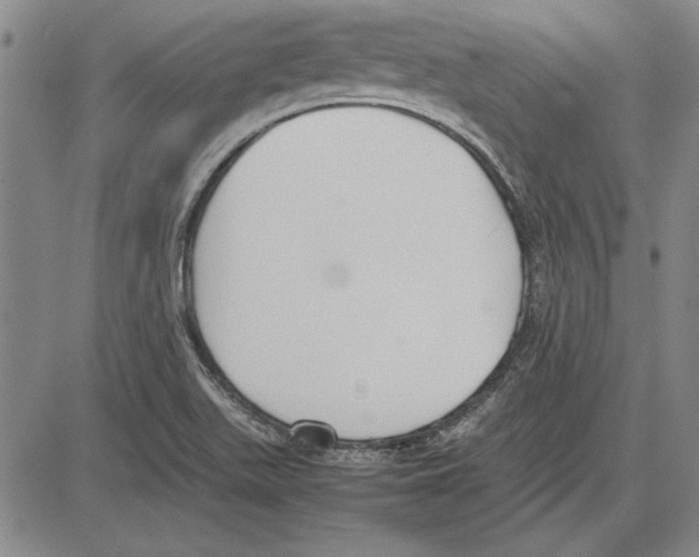 X0000081631511200702121652