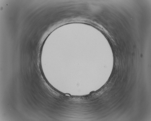 X0000081631512200702121652