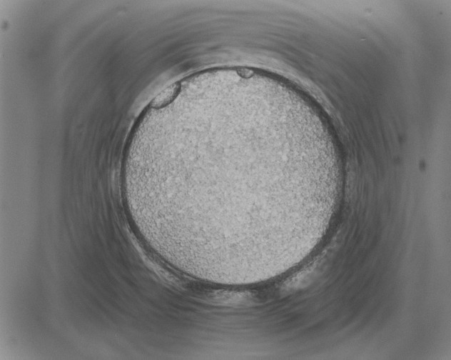 X0000081631513200702121652