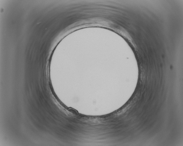 X0000081631516200702121652