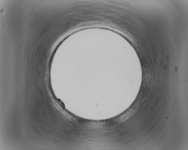 X0000081631518200702121652