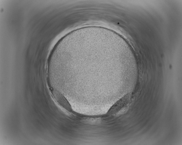 X0000081631519200702121652