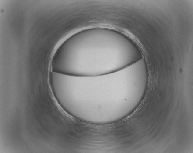 X0000081631520200702121652