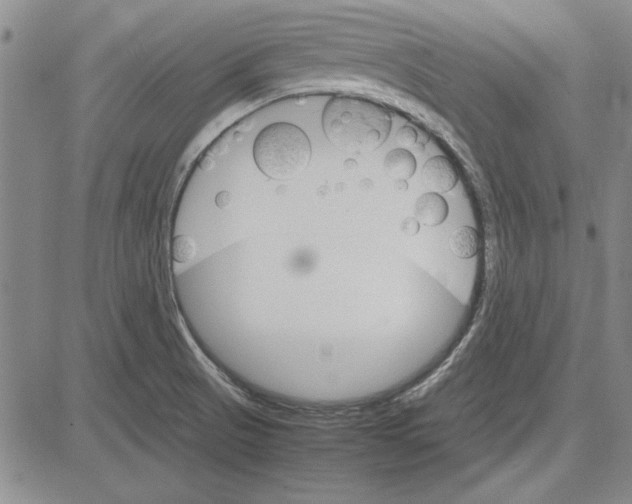 X0000081631521200702121652