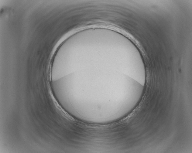 X0000081631522200702121652