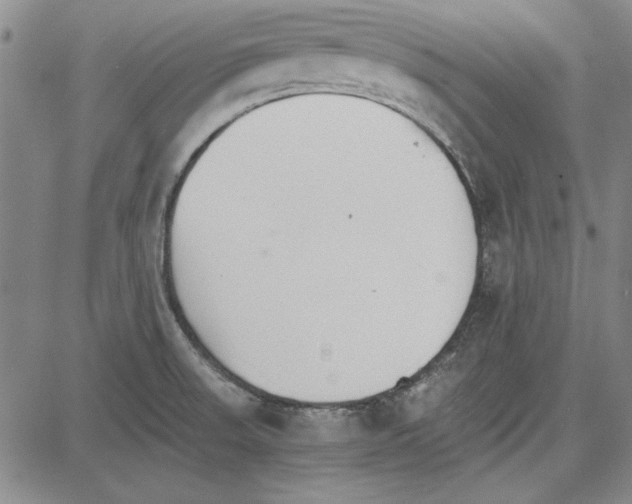 X0000081631523200702121652