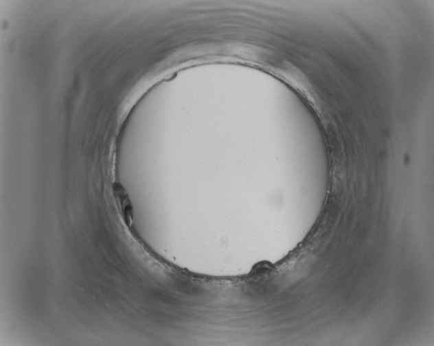 X0000081631524200702121652