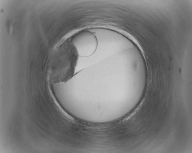 X0000081631525200702121652