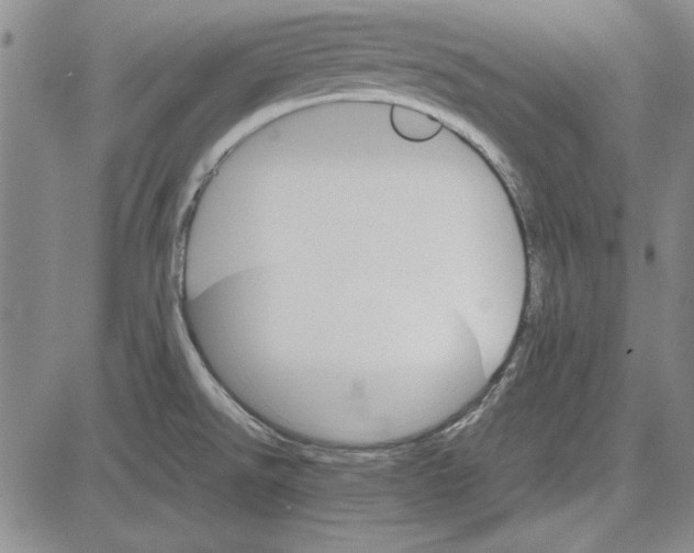 X0000081631526200702121652