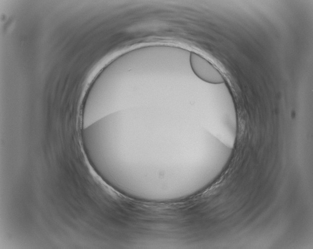 X0000081631527200702121652