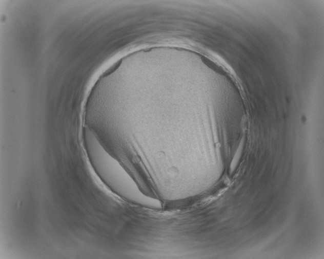 X0000081631528200702121652