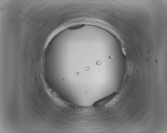 X0000081631530200702121652