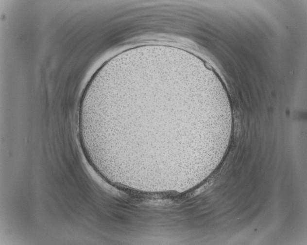 X0000081631531200702121652