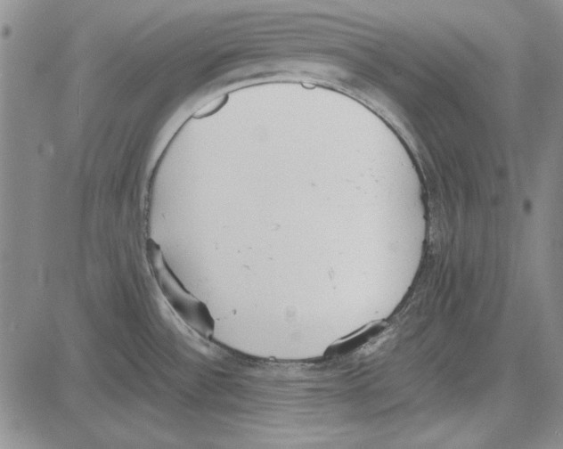 X0000081631532200702121652